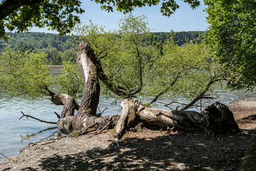 Fresh, clear and clean water of Lake Constance