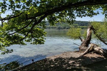 Fresh, clear and clean water of Lake Constance