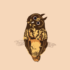 Búho - Owl
