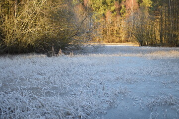 frozen lake in winter