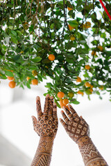 henna mehndi 