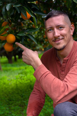 Naklejka na ściany i meble A Man in the Orange Garden and ripe oranges on the branches of trees