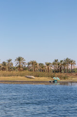Fototapeta na wymiar Vertical landmark view of Nile river bank full of palm trees and a wooden boat in the shore located in the north of Africa in tropical weather