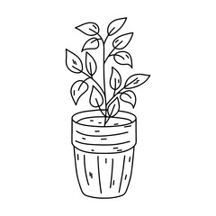 House plant in ceramic pot in hand drawn doodle style. Decorative potted house plant sketch illustration for print, web, mobile and infographics isolated on white background.