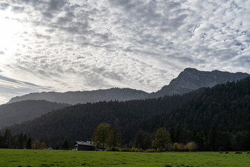 Massive mountain chain, forest and meadows of the German Alps
