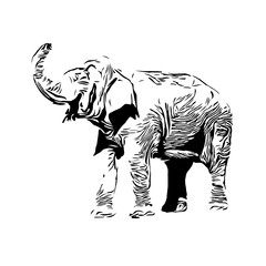 Black and white sketch of an elephant on a transparent background