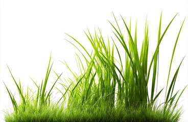 green grass side view