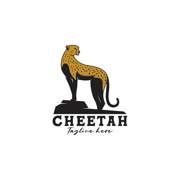 Cheetah logo template isolated brand identity Vector Image