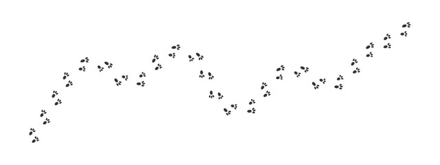 Bunny pawprints waving track. Hare feet steps. Wet or mud rabbit paw silhouettes. Trace of running or walking wild animal isolated on white background. Vector graphic illustration © vikusha_art