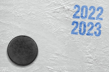 Puck on the hockey rink