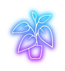 Collection of nature neon