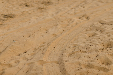 tracks in sand