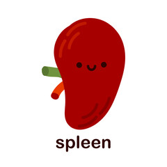 Kawaii spleen. Cute kawaii human internal organs. Cheerful children's drawings in a flat style, hand drawn, human anatomy.