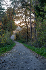 Fototapeta na wymiar Woodland lane through the colorful autumn forest