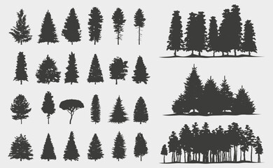 Spruce and Pine tree silhouette collection