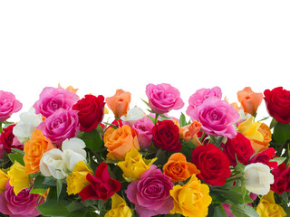 bouquet of fresh roses