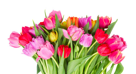 bouquet of  pink, purple and red  tulips - obrazy, fototapety, plakaty