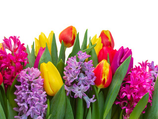 hyacinths and tulips