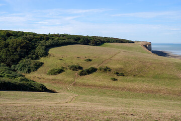 Obraz premium Rompval wood and coastal path of the Ault cliffs in Hauts-de-France region