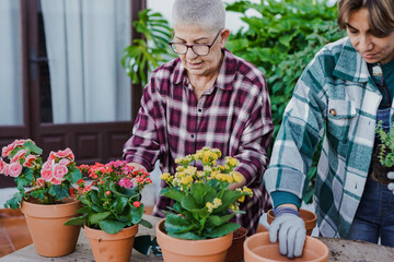Senior women gardening together at home patio - Elderly friendship concept