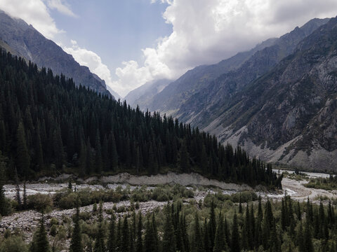 Mountain river and forest in summer Kyrgyzstan