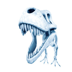 tyrannosaurus skeleton in white background