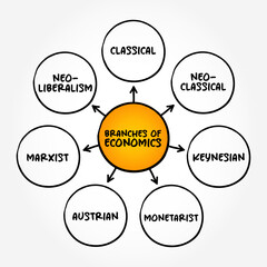 Branches of Economics ( are microeconomics and macroeconomics) mind map concept background