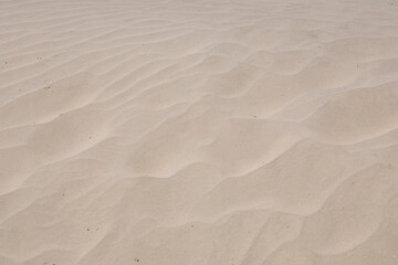 background wit soft sandy waves