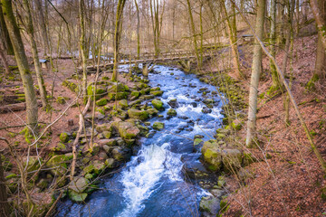 View down to the Holzbach in the gorge of the same name in Rhineland-Palatinate in early spring