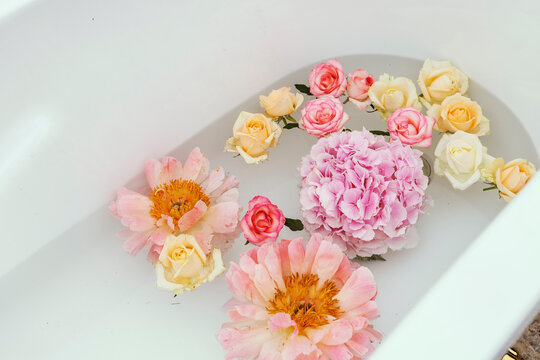 Flores Color Pastel Images – Browse 1,216 Stock Photos, Vectors, and Video | Adobe Stock Flores Color Pastel Images – Browse 1,216 Stock Photos, Vectors, and Video | Adobe Stock