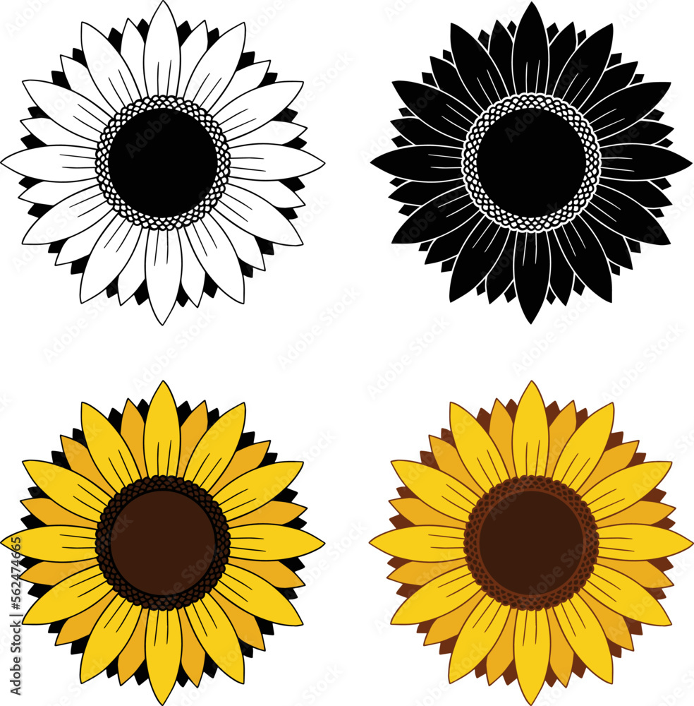 Wall mural yellow sunflower clipart - outline, silhouette & color