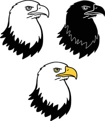 Bald Eagle Head Clipart - Outline, Silhouette & Color