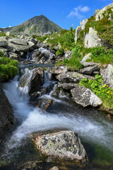 Fototapeta na wymiar wild river flowing in the mountains in Romania in the Carpathians in the Retezat Mountains
