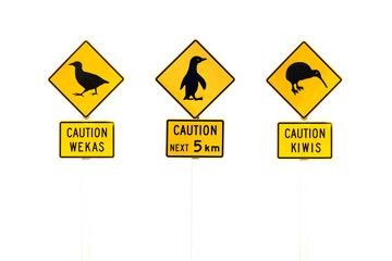 New Zealand wildlife animals road signs isolated on transparent background, png file. Caution kiwis, caution wekas, caution penguins