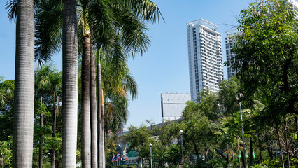 Thailand park, trees in the foreground and tall buildings in the background
