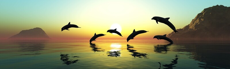 Dolphins play swimming away at the setting sun, 3d rendering