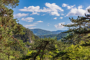 Ein schönes Landschaftsbild mit Wald und Berge und blauen Himmel mit Wolken