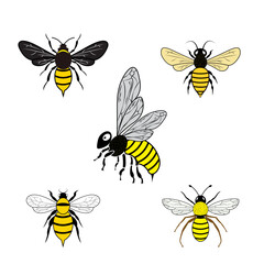 Queen Bee Silhouette, Queen Bee Clipart, Queen Bee Bundle SVG. vector illustration