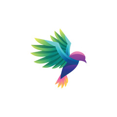 Colorful bird illustration gradient