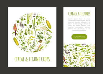 Organic Cereals and Legume Banner Design with Growing Crops and Plant Vector Template