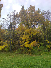 Autumn view of South Park in city of Sofia, Bulgaria