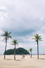 Fototapeta premium Processed with VSCO with a1 preset