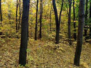 Autumn view of South Park in city of Sofia, Bulgaria