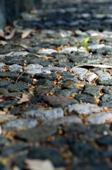 Empedrado en Tolox, Sierra de las Nieves