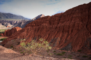 The splendid colors of the Quebrada de Purmamarca, Argentina