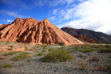 Fototapeta premium The splendid colors of the Quebrada de Purmamarca, Argentina