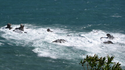 Fototapeta premium surfing the wave