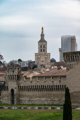 Avignon, Vaucluse, France - Panoramic view of old town with historical buildings in the background