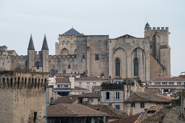 Fototapeta na wymiar Avignon, Vaucluse, France - Panoramic view of old town with the Palace of the Popes