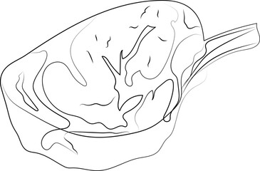steak outline